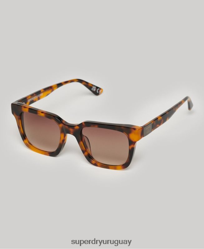 uy Superdry hombres gafas de sol sdr garritsen marrón DT2N8Z15 accesorios