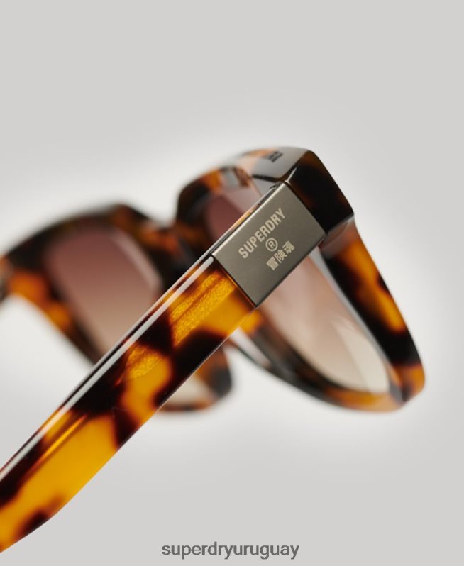 uy Superdry hombres gafas de sol sdr garritsen marrón DT2N8Z15 accesorios