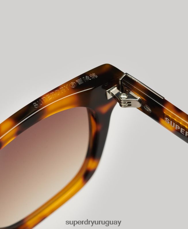 uy Superdry hombres gafas de sol sdr garritsen marrón DT2N8Z15 accesorios