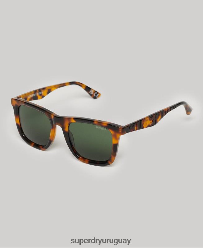 uy Superdry hombres gafas de sol sdr trailsman marrón DT2N8Z76 accesorios