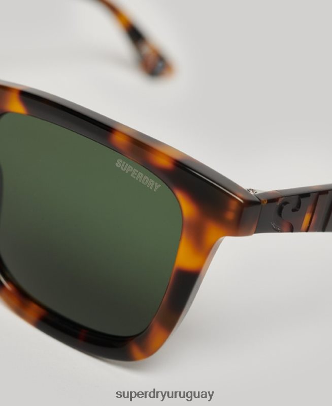 uy Superdry hombres gafas de sol sdr trailsman marrón DT2N8Z76 accesorios