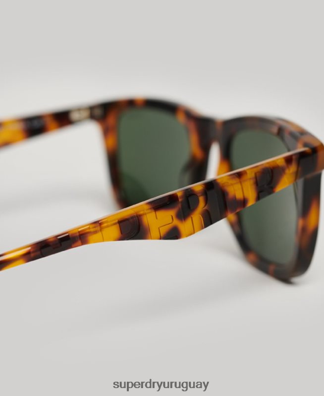 uy Superdry hombres gafas de sol sdr trailsman marrón DT2N8Z76 accesorios