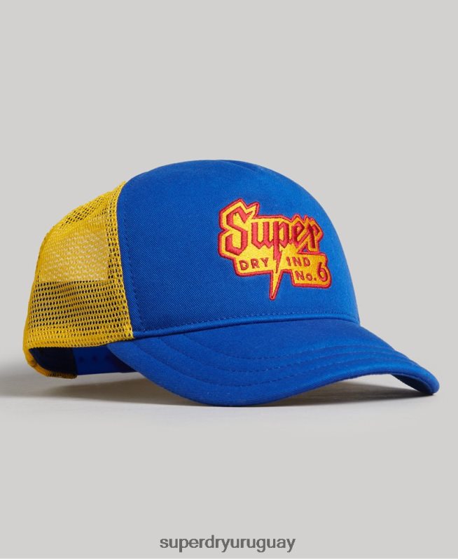 uy Superdry hombres gorra de camionero con gráfico vintage azul DT2N8Z1669 accesorios