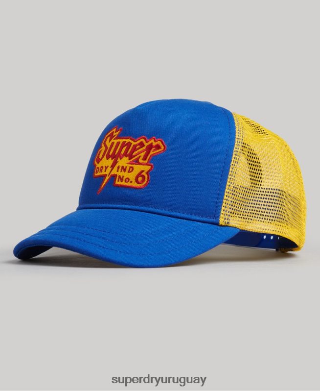 uy Superdry hombres gorra de camionero con gráfico vintage azul DT2N8Z1669 accesorios