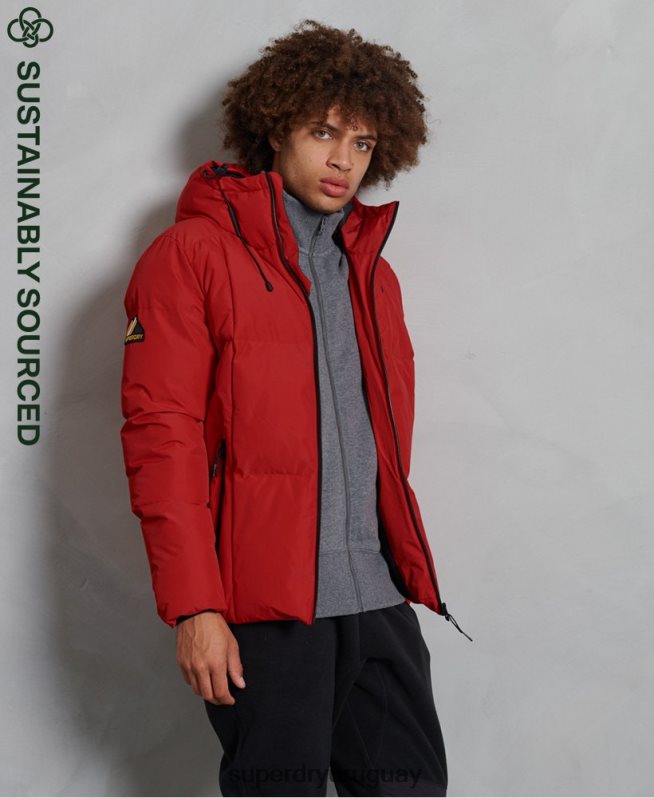 uy Superdry hombres chaqueta acolchada evolution rojo DT2N8Z4788 ropa