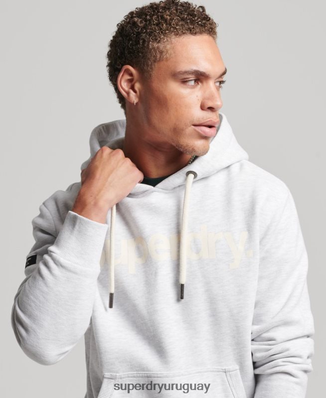 uy Superdry hombres sudadera con capucha y gráfico del logo central de algodón orgánico gris claro DT2N8Z748 ropa