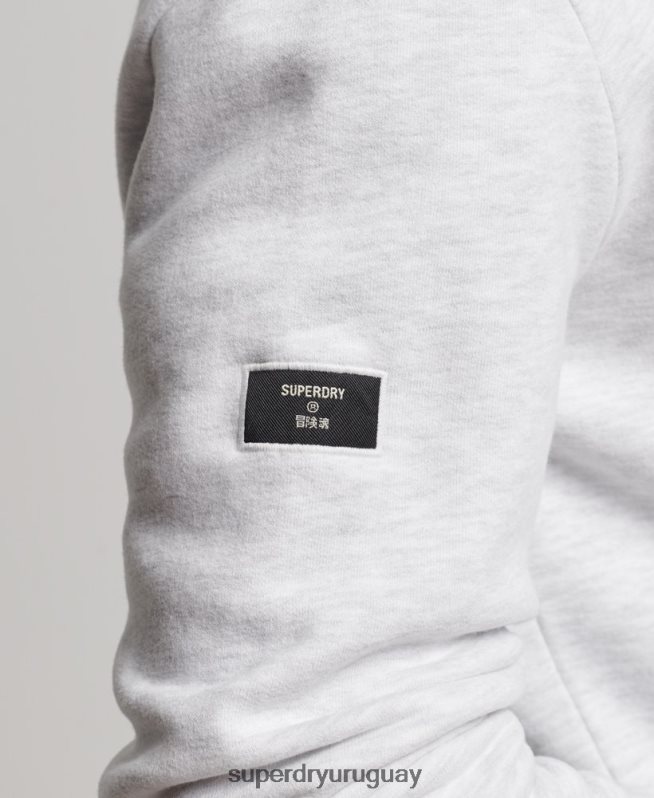 uy Superdry hombres sudadera con capucha y gráfico del logo central de algodón orgánico gris claro DT2N8Z748 ropa