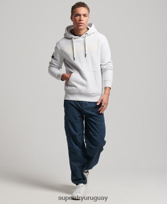 uy Superdry hombres sudadera con capucha y gráfico del logo central de algodón orgánico gris claro DT2N8Z748 ropa
