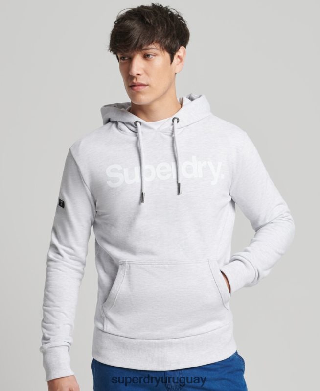 uy Superdry hombres sudadera con capucha y logo sin cepillar gris claro DT2N8Z866 ropa