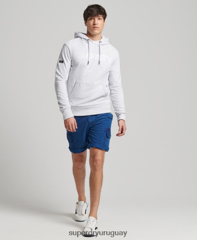 uy Superdry hombres sudadera con capucha y logo sin cepillar gris claro DT2N8Z866 ropa