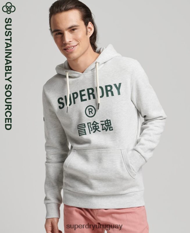 uy Superdry hombres sudadera con capucha y logo vintage gris claro DT2N8Z5184 ropa