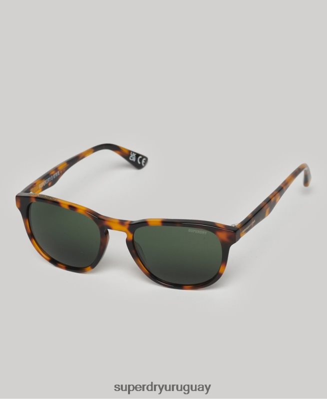 uy Superdry mujer gafas de sol sdr camberwell marrón DT2N8Z1990 accesorios