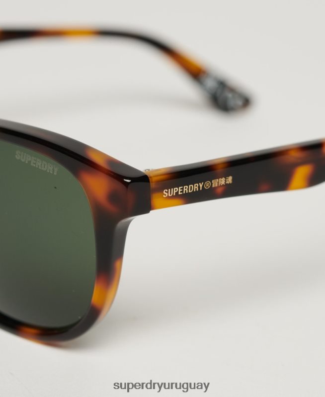uy Superdry mujer gafas de sol sdr camberwell marrón DT2N8Z1990 accesorios